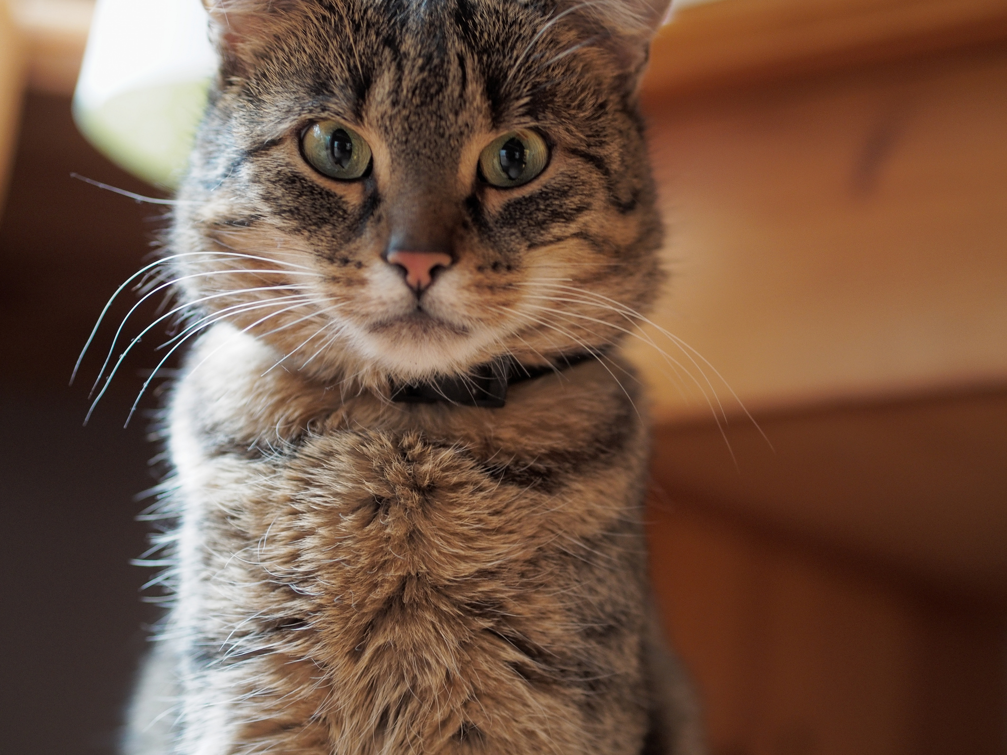 Proper Parenting and Perfect Genes