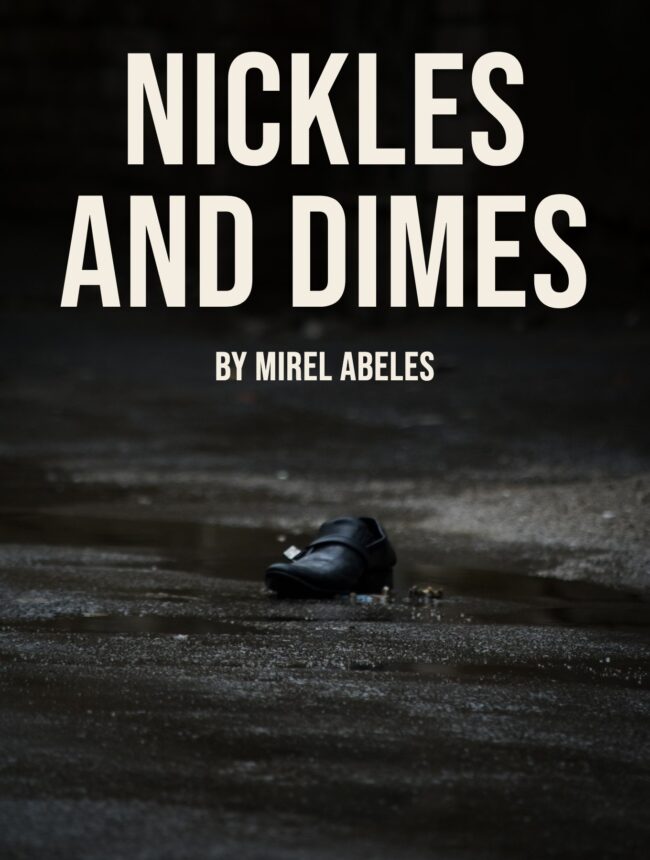 A single black shoe lying in a puddle on dark pavement, with the title Nickles and Dimes by Mirel Abeles