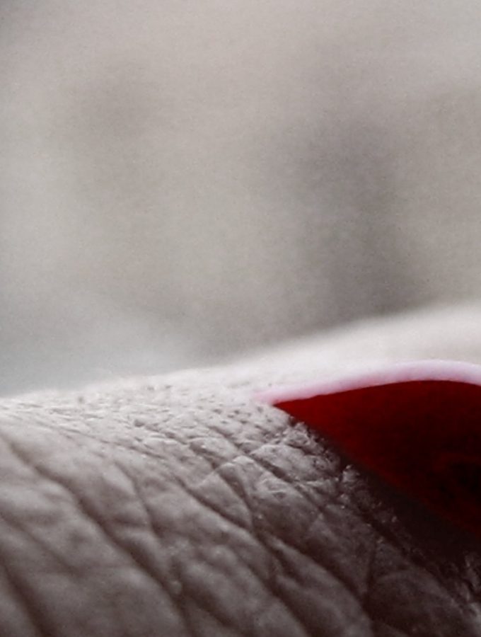 All About the Blood