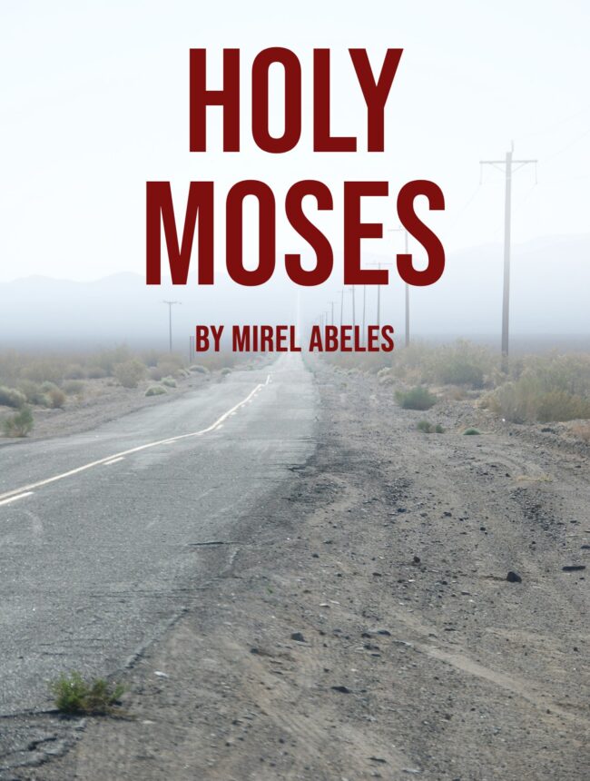 an empty desert road lined with poles under a pale hazy sky, with the title Holy Moses by Mirel Abeles