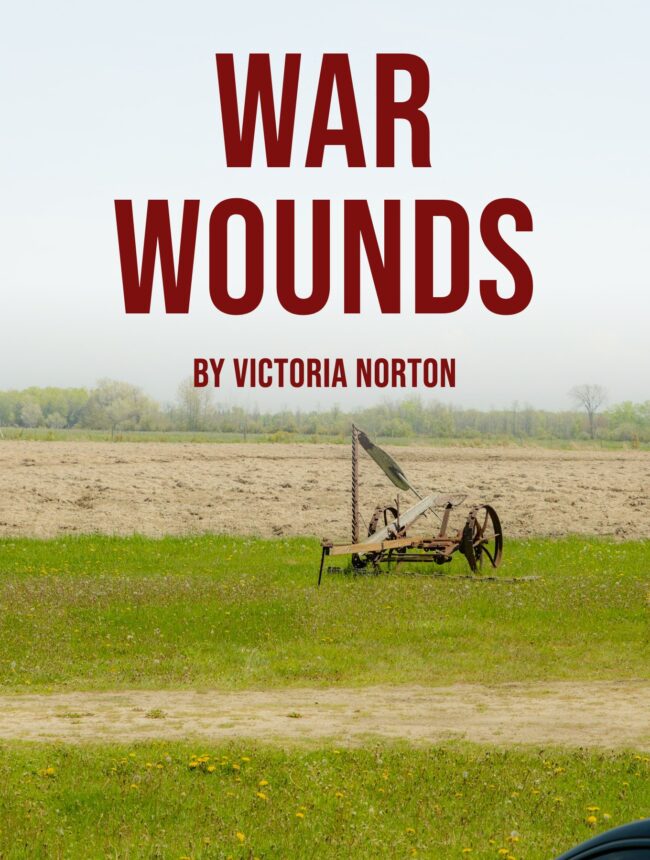 An old rusted farm mower sits alone in a quiet green field, with the title War Wounds by Victoria Norton