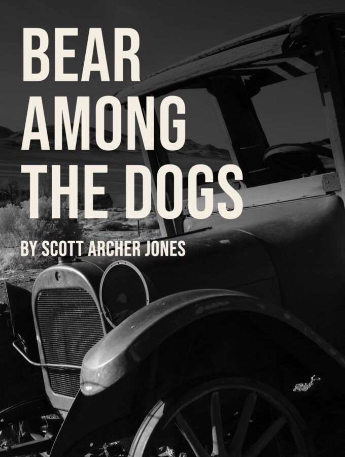 Bear Among The Dogs