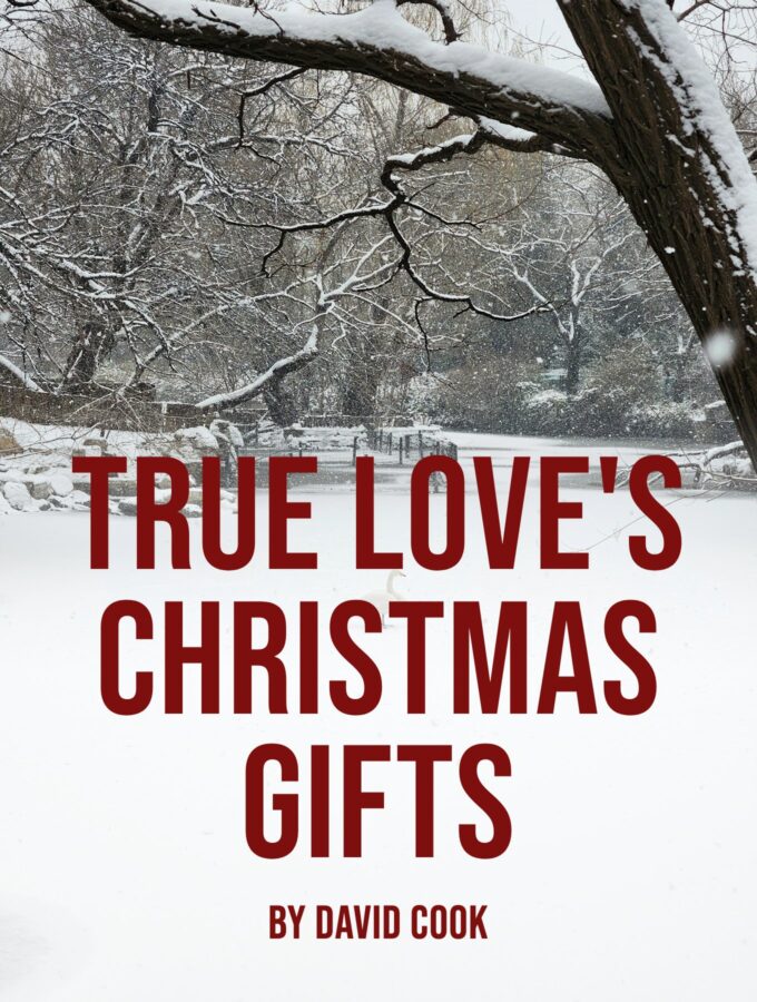 True Love's Christmas Gifts
