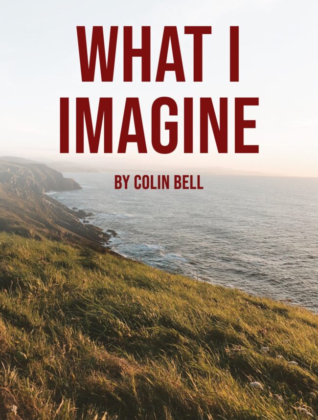 windswept grass on a cliff above a hazy sea at sunset, with the title What I Imagine by Colin Bell