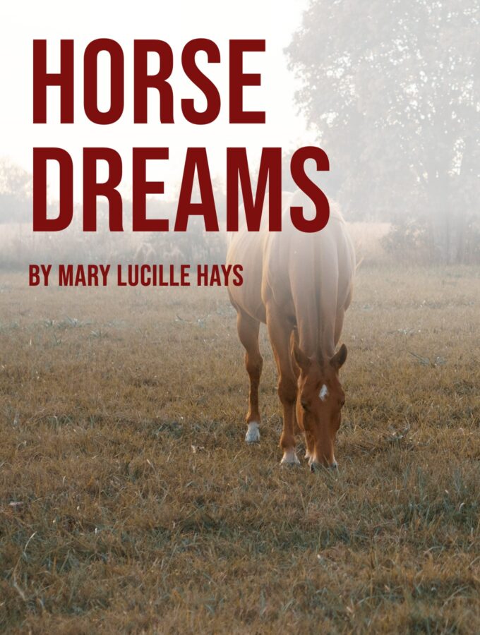 Horse Dreams