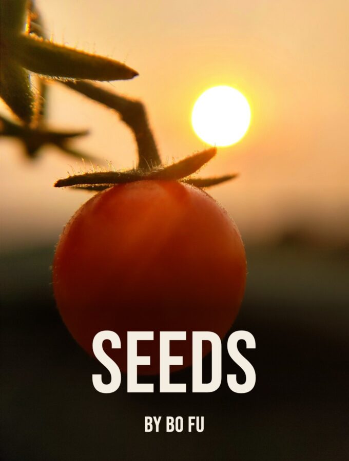 Seeds