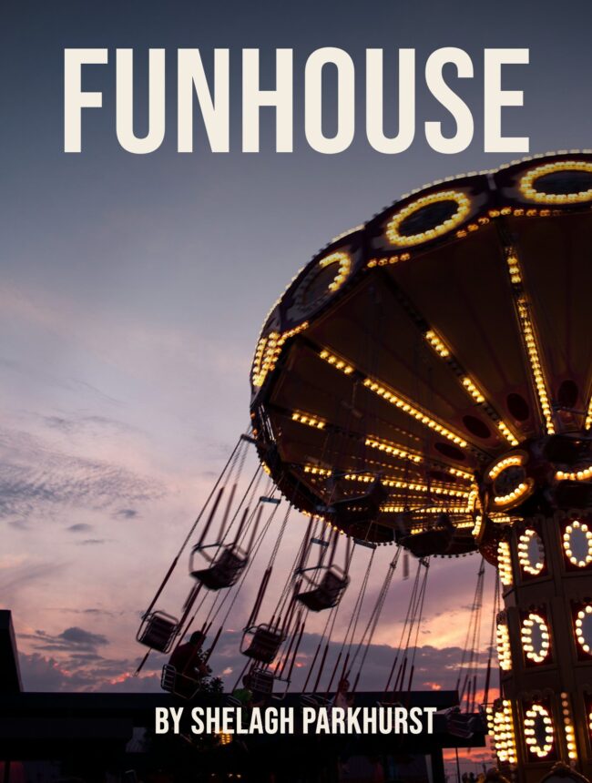 A lit swing ride against a purple dusk sky, with the title Funhouse by Shelagh Parkhurst