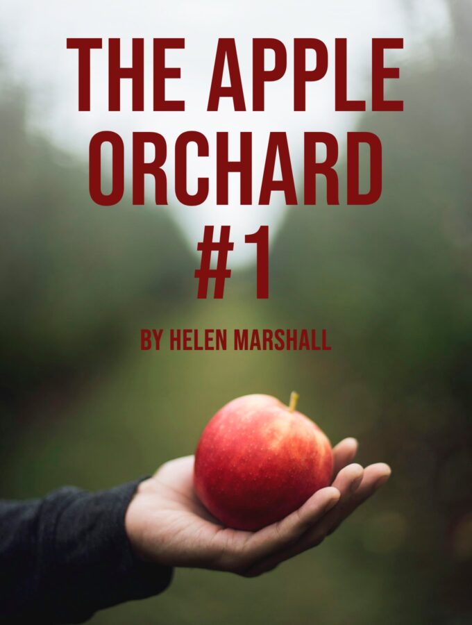 THE APPLE ORCHARD #1