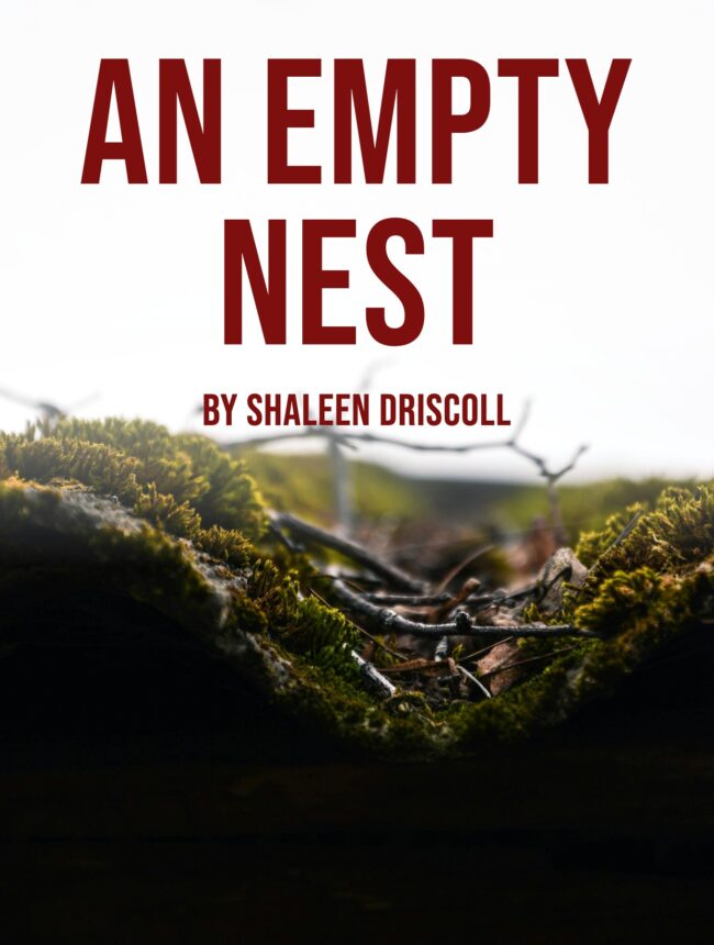 Moss and twigs under a pale white sky, with the title An Empty Nest by Shaleen Driscoll