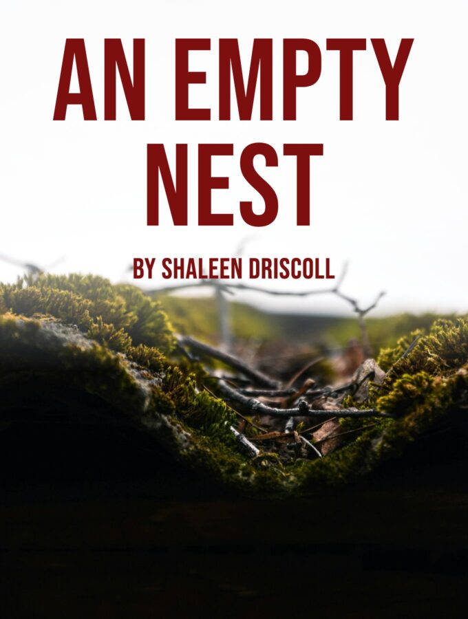 An Empty Nest