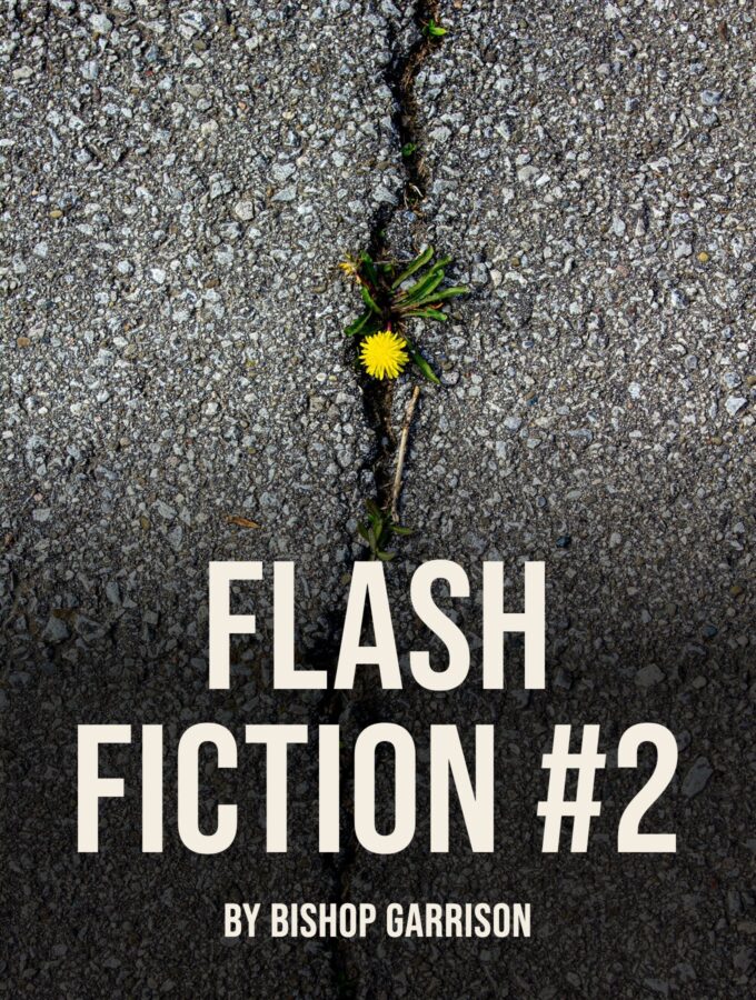 Break Time – Flash Fiction #2