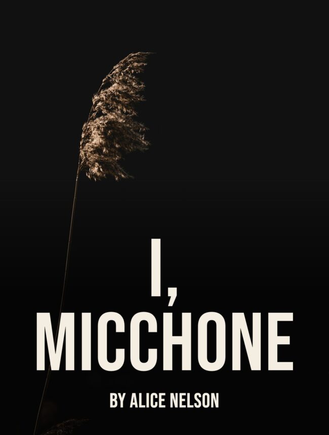 A lone dried reed lit against a black background, with the title I, Micchone by Alice Nelson