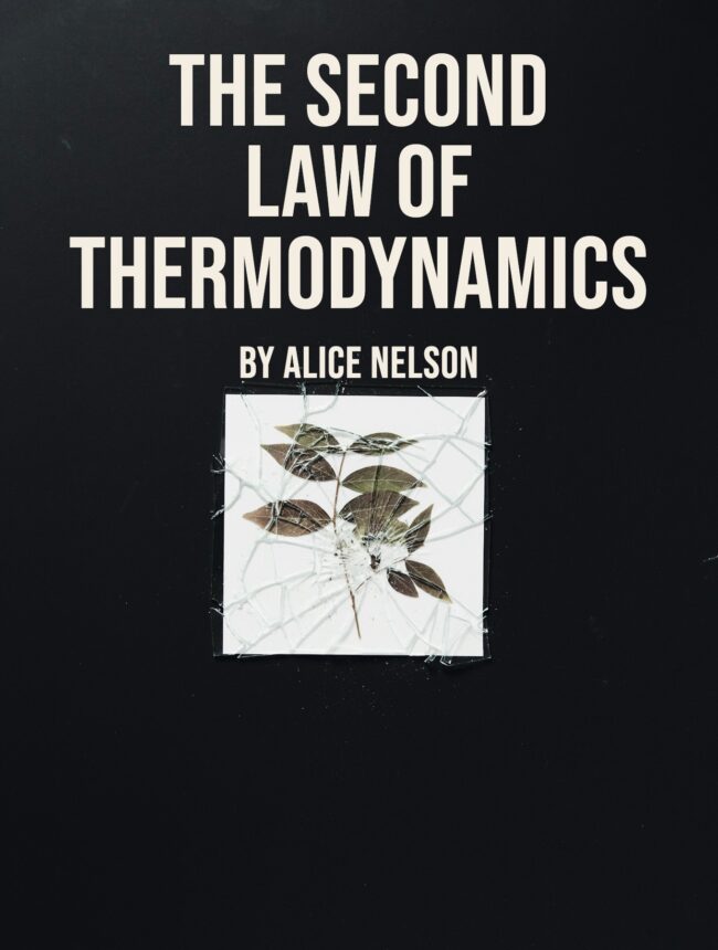 A pressed leaf card under shattered glass on black, with the title The Second Law of Thermodynamics by Alice Nelson