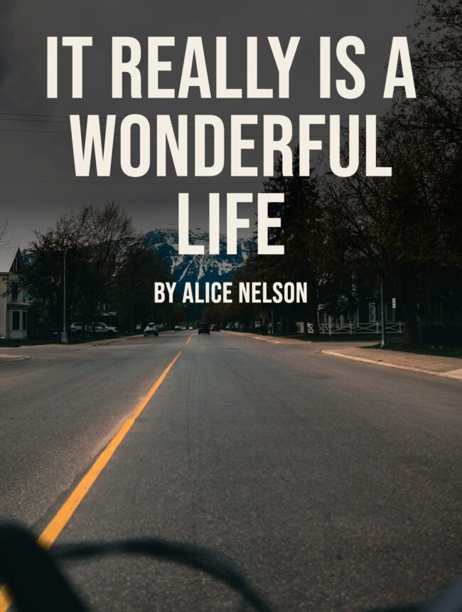 An empty town road leading toward a snowy mountain under cloudy skies, with the title It Really Is A Wonderful Life by Alice Nelson
