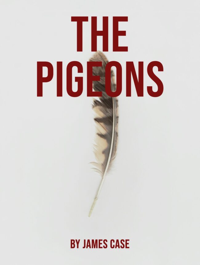 A single brown and cream feather lying on a plain white background, with the title The Pigeons by James Case
