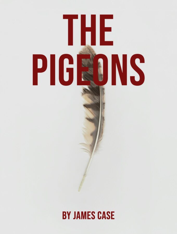 The Pigeons