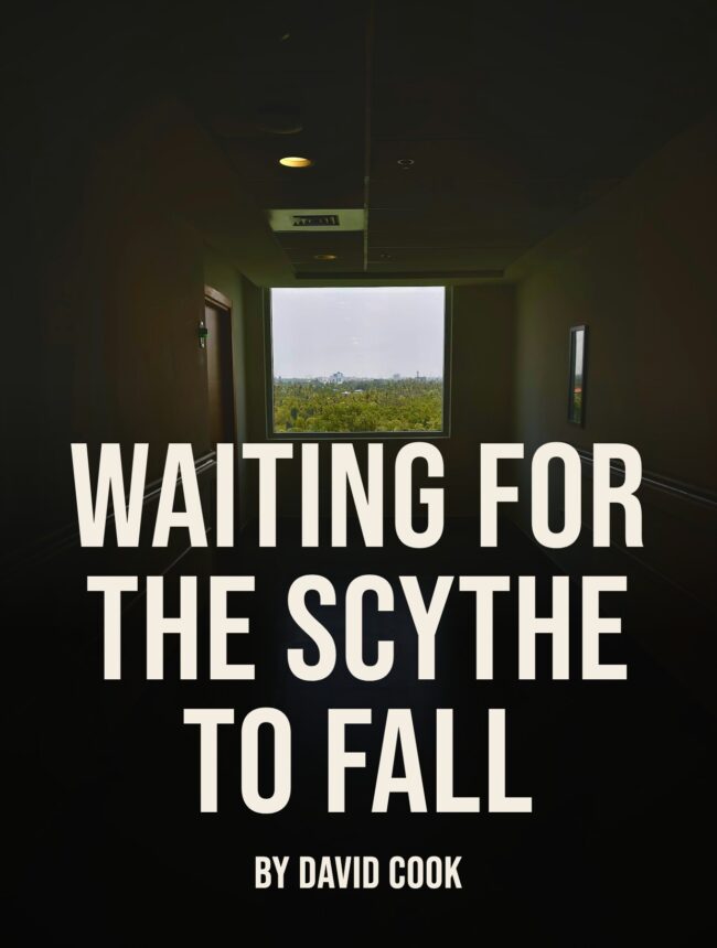 A dark hospital corridor ending in a bright window, with the title Waiting for the scythe to fall by David Cook