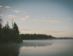 The Lakehouse