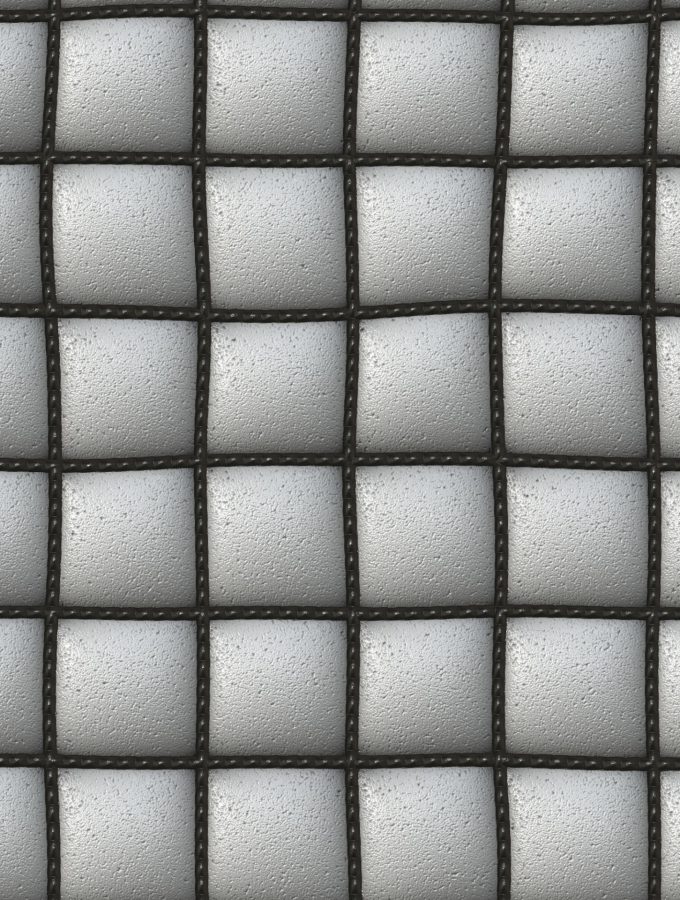 The Padded Cell by Derek Ailes