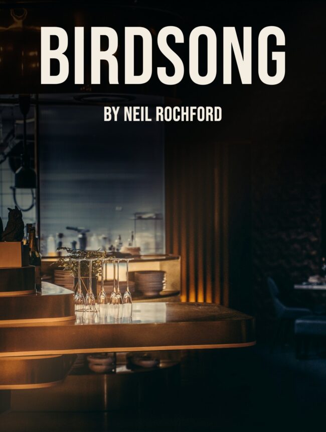 A dim empty bar with upturned glasses on the counter, with the title Birdsong by Neil Rochford