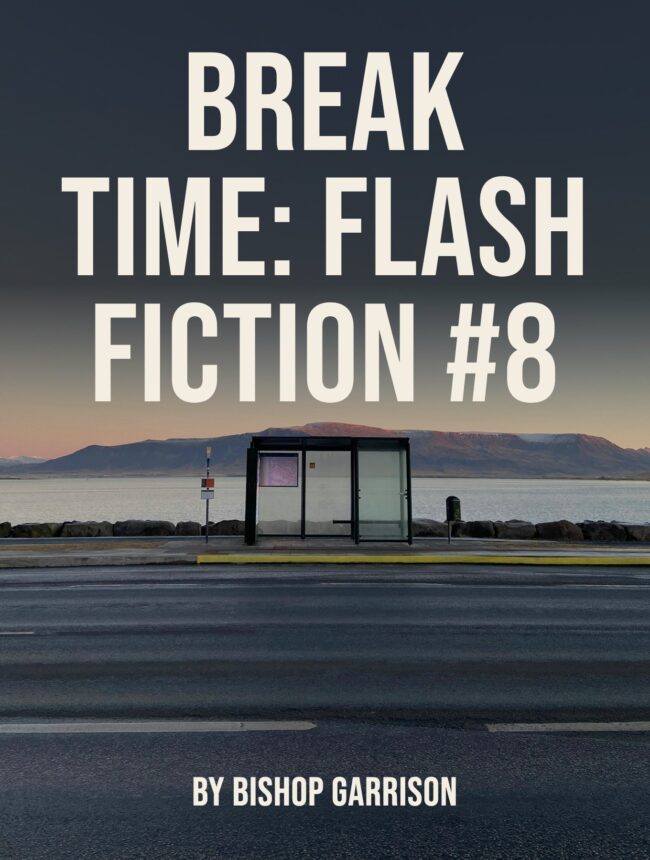 A lone bus shelter by the sea at dusk, with the title Break Time: Flash Fiction #8 by Bishop Garrison