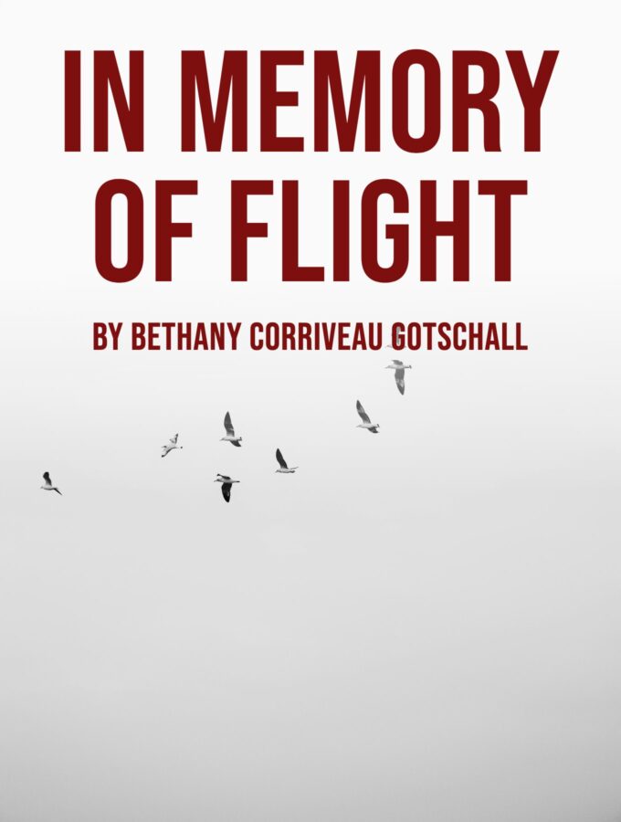 In Memory of Flight by Bethany Gotschall