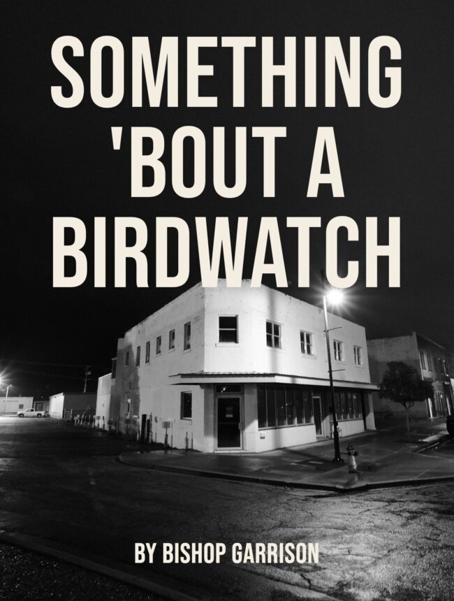 a white corner building lit by a streetlight on an empty night street, with the title Something 'bout a Birdwatch by Bishop Garrison