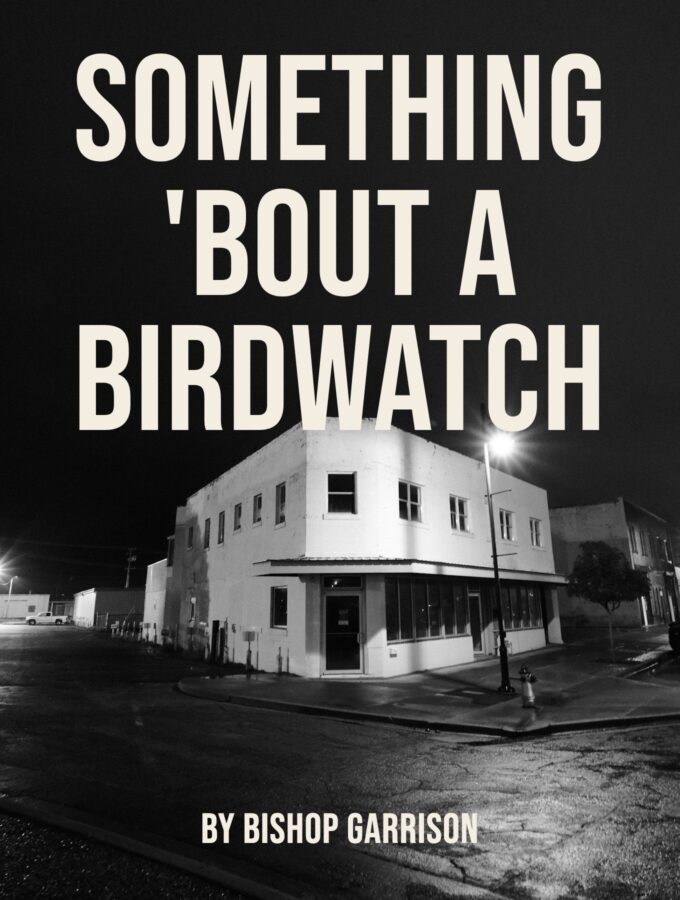 Something 'bout a Birdwatch