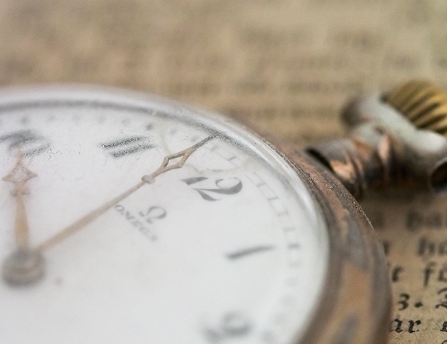 The Time Traveler's Scheme