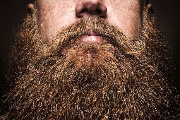 The Blooming Big Beard-Off