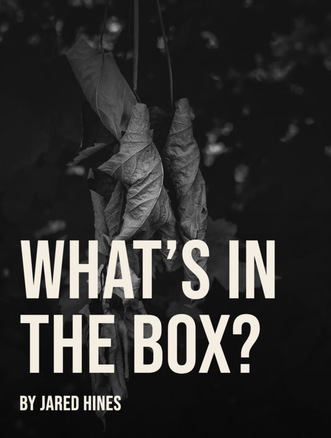 What’s in the Box? (a very short story)