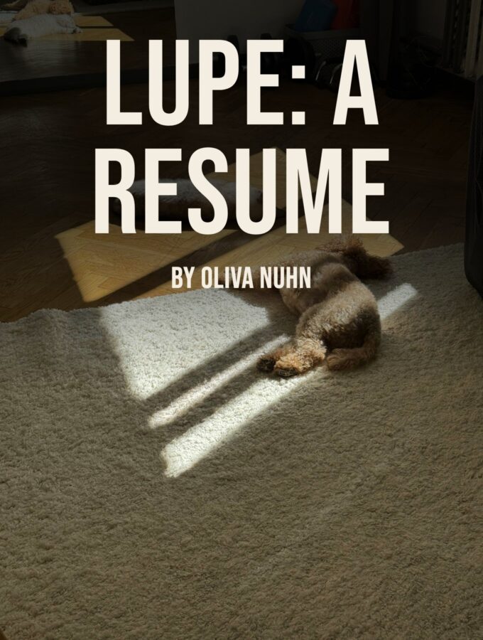 Lupe – A Resume