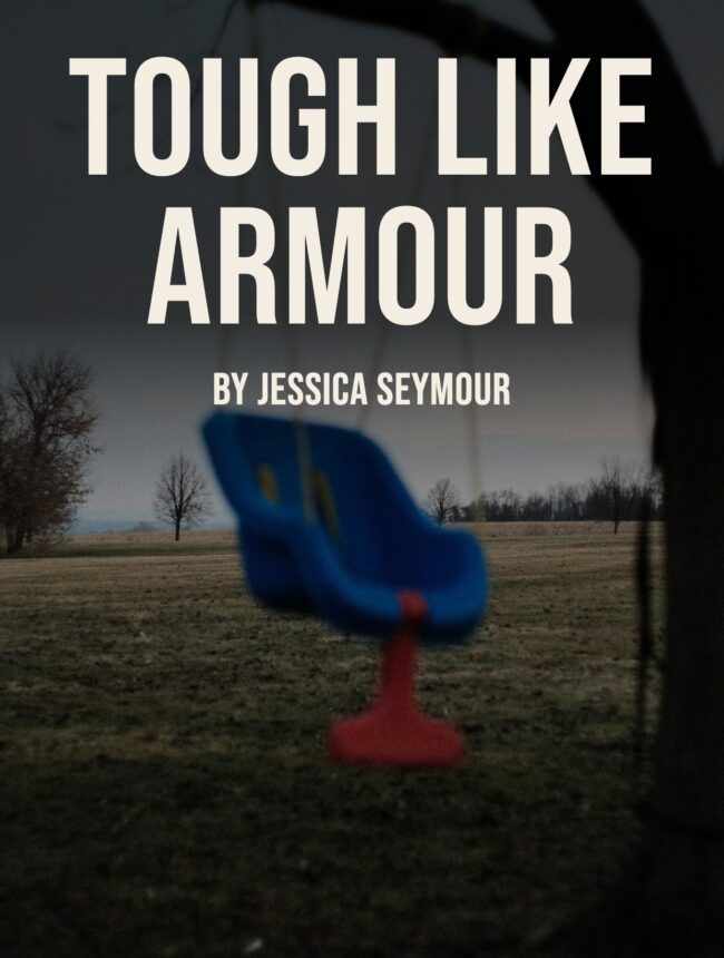 An empty blue swing seat in a gloomy field, with the title Tough like Armour by Jessica Seymour