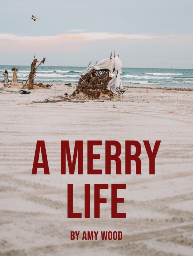 Wreckage on a pale sandy beach by the sea, with the title A Merry Life by Amy Wood