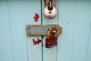 The Door in the Cellar