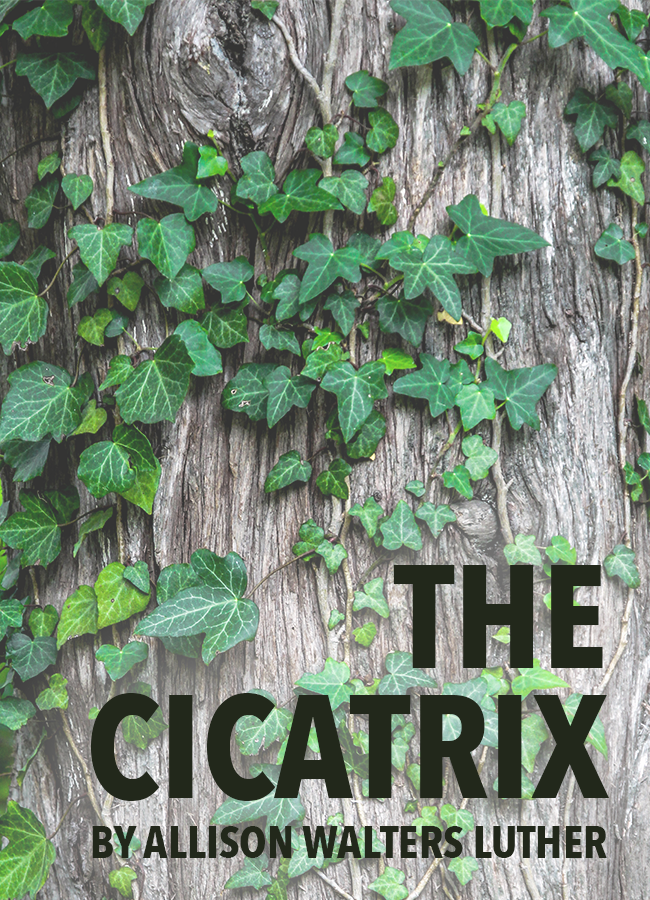 The Cicatrix