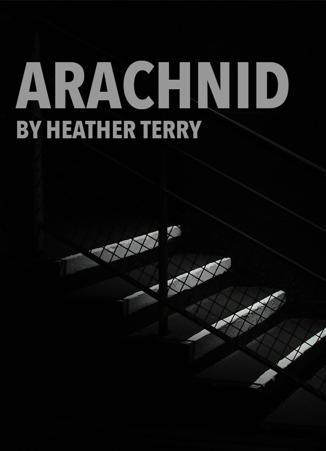 Arachnid