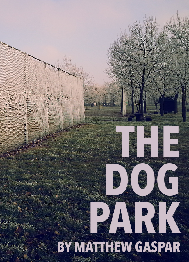 The Dog Park
