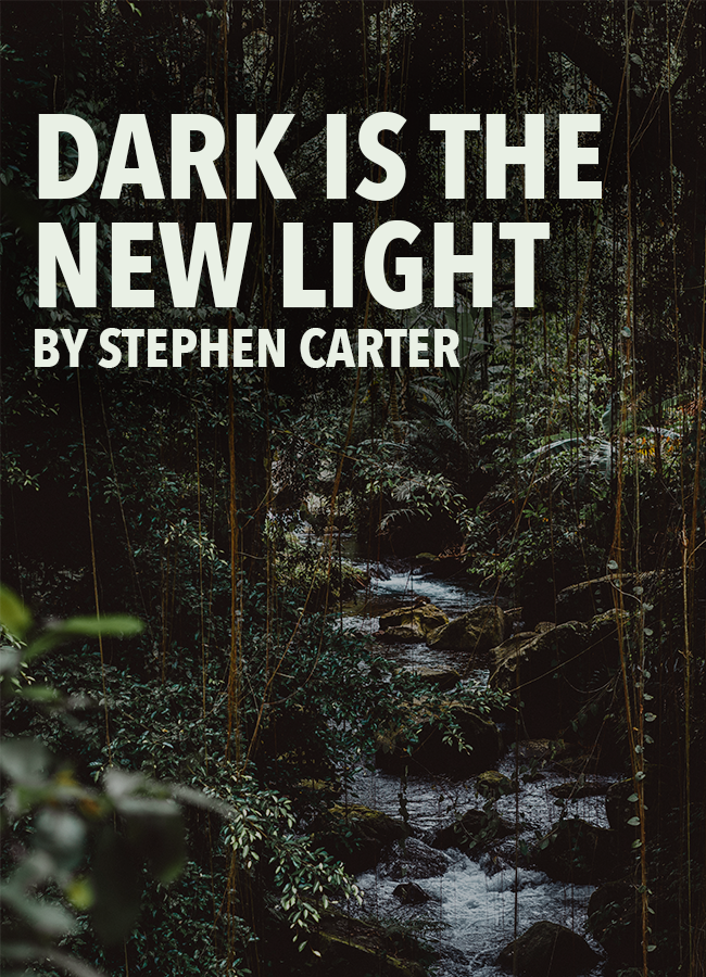 Dark Is the New Light