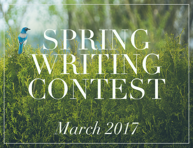 Spring Writing Contest