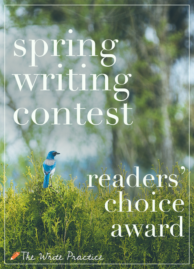 Vote for Your Favorite Story in the Spring Writing Contest