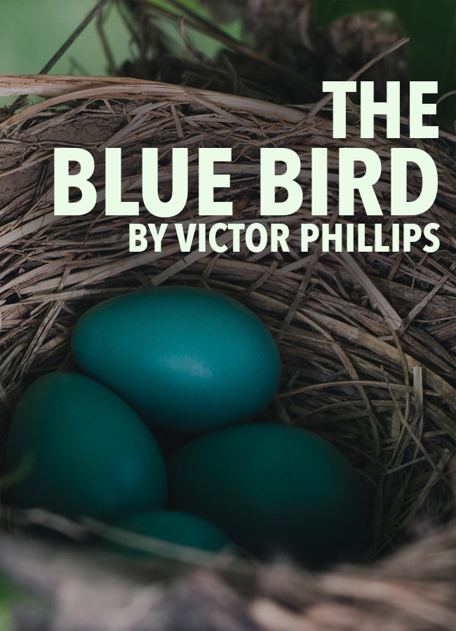 The Blue Bird