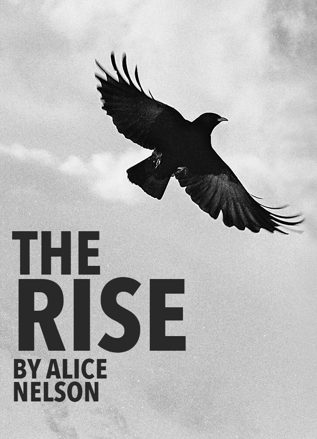 The Rise