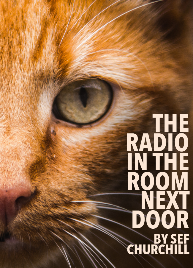 The Radio In The Room Next Door Short Fiction Break   The Radio In The Room Next Door 