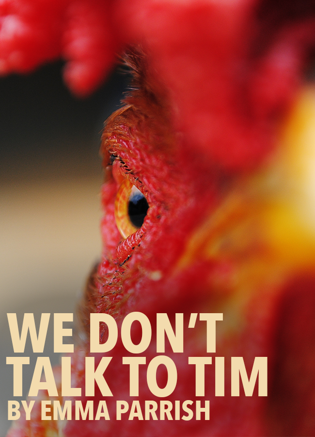 We Don't Talk to Tim