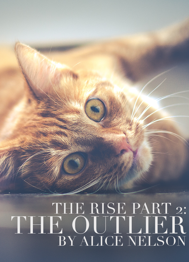 The Rise Part 2: The Outlier