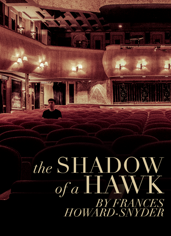 The Shadow of a Hawk