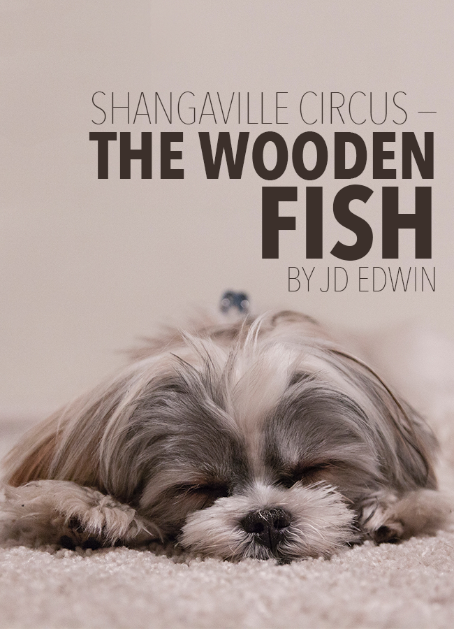 Shangaville Circus — The Wooden Fish