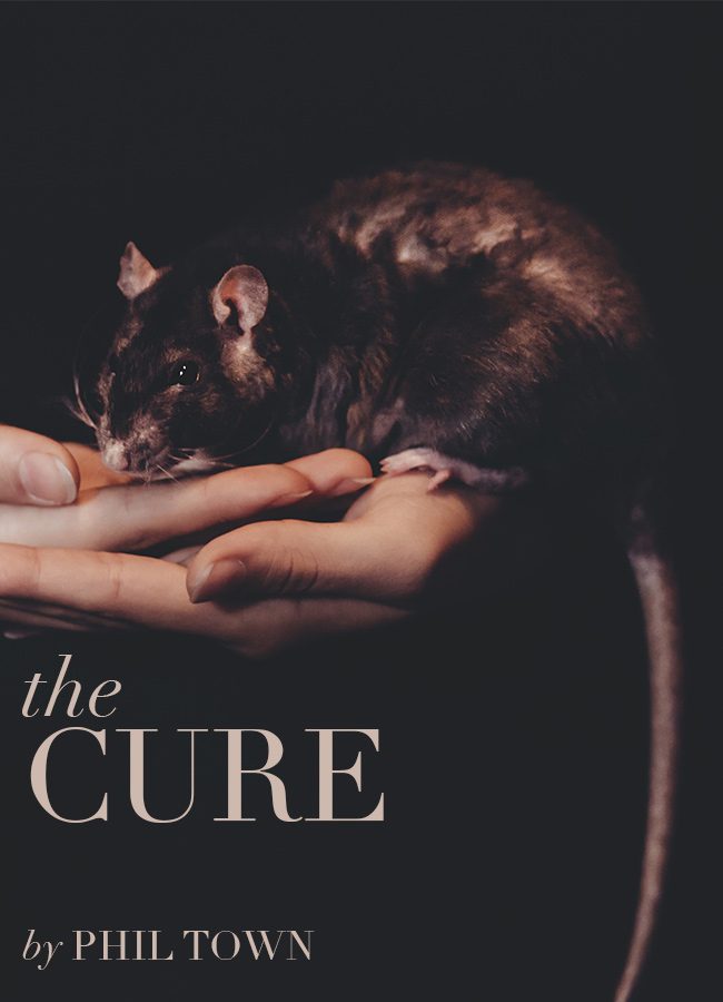 The Cure