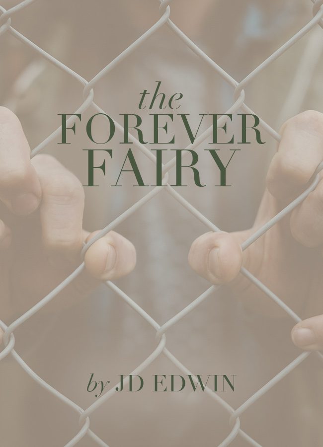 The Forever Fairy